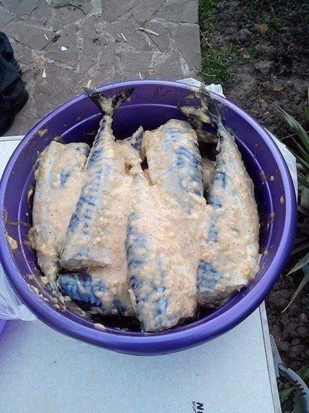 Скумбрия на мангалеИнгредиенты:• свежемороженая...