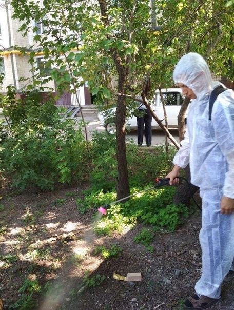 В Симферополе во дворе многоэтажки валялись отрубленные головы крокодилов В Симферополе во дворе многоэтажки на улице Воровского обнаружили головы крокодилов, убитых, судя по внешнему виду, не