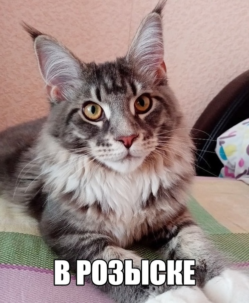 Добрый Дом в Тольятти