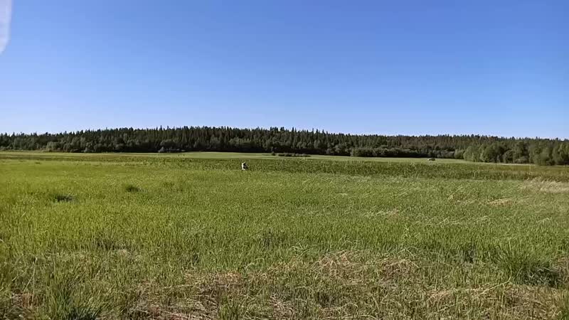 Oppo_0slow_motion_hfr_1200,0,0,0