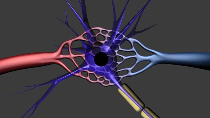 Functional MRI (fMRI)