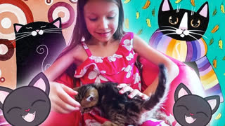 ЛУЧШИЕ СЕРИИ Вики Шоу в Тайланде /// ВЛОГ - КОШАЧЬЕ КАФЕ в Тайланде Вика Играет с Котенком Милота Зашкаливает 7 Кошек в Одном Месте // Вики Шоу