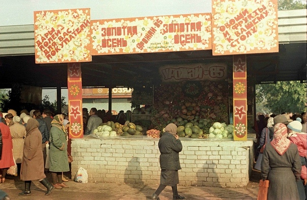Челны Вкурсе